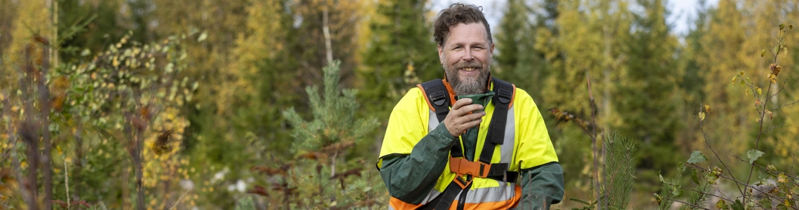 Man med skyddskläder har kaffepaus vid röjningsarbete av björksly. Han dricker nöjt kaffe ur sin kåsa.